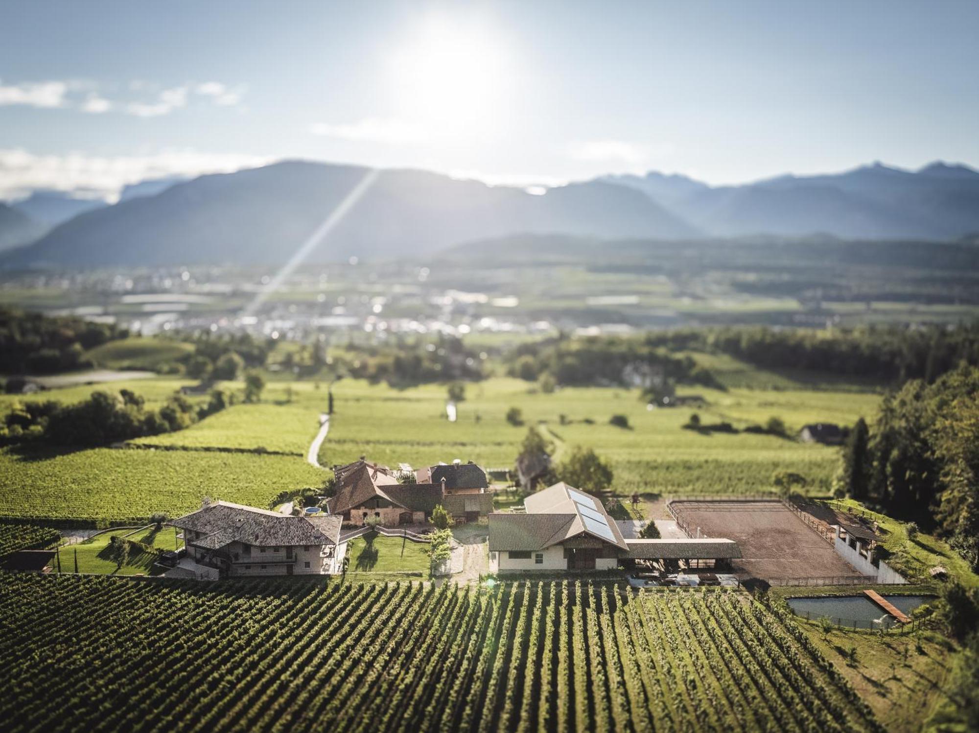 Апартаменти Nofnerhof Апп'яно-сулла-Страда-дель-Віно Екстер'єр фото
